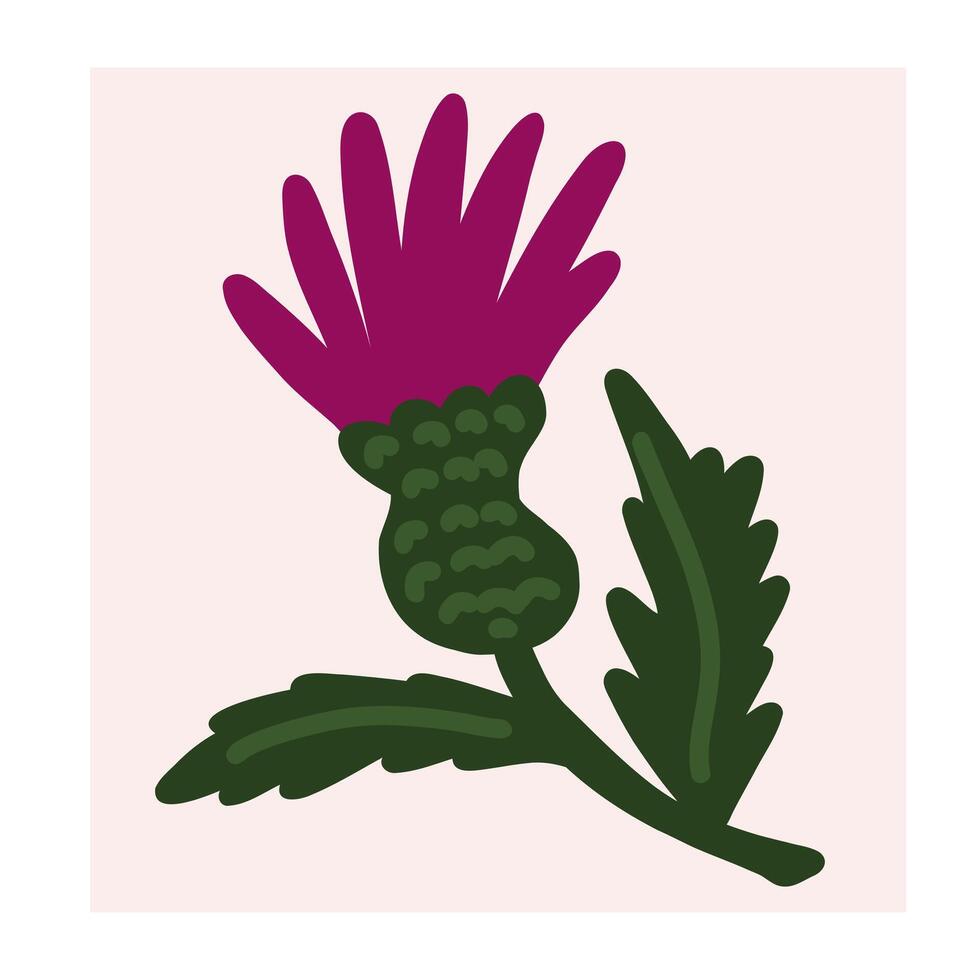 a thistle flower with green leaves on it vector