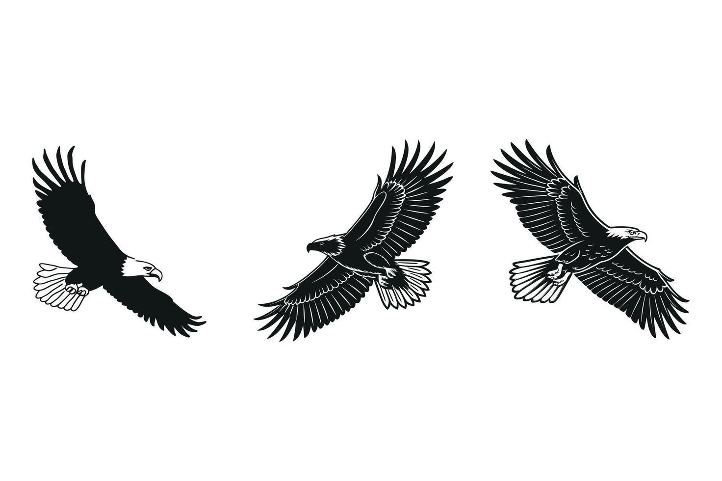 Majestic Eagle in Flight vector