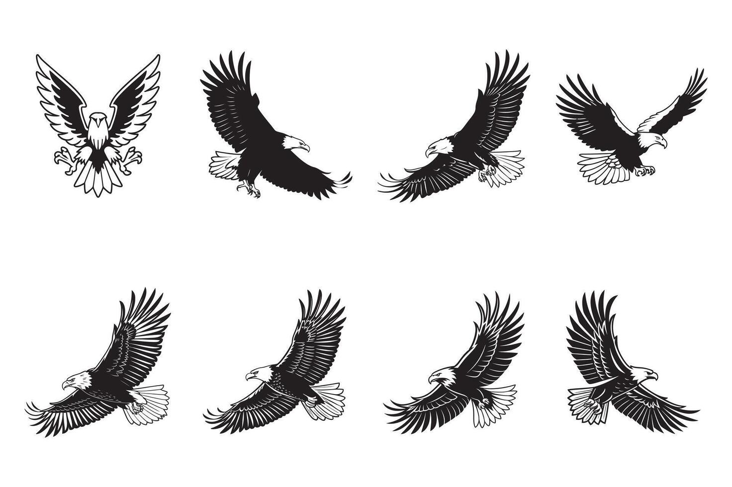 Flying Eagle Illustration vector