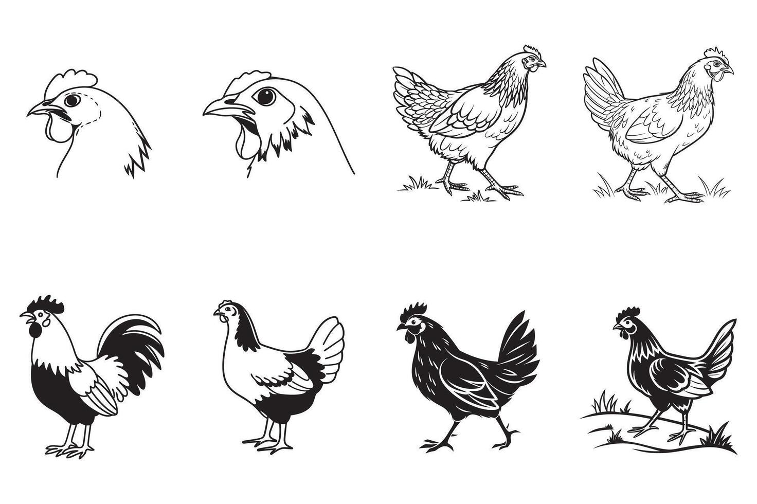 Realistic Chicken Design vector