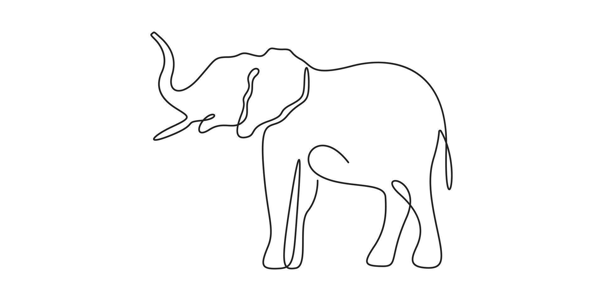 Elephant continuous one line drawing graphic illustration vector