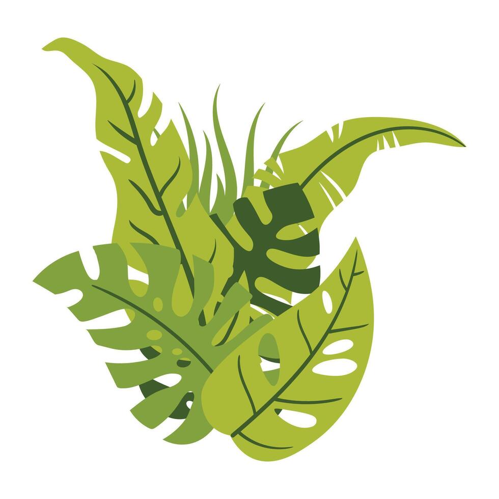 Set of tropical leaf still life composition isolated on white, in cartoon flat style. vector