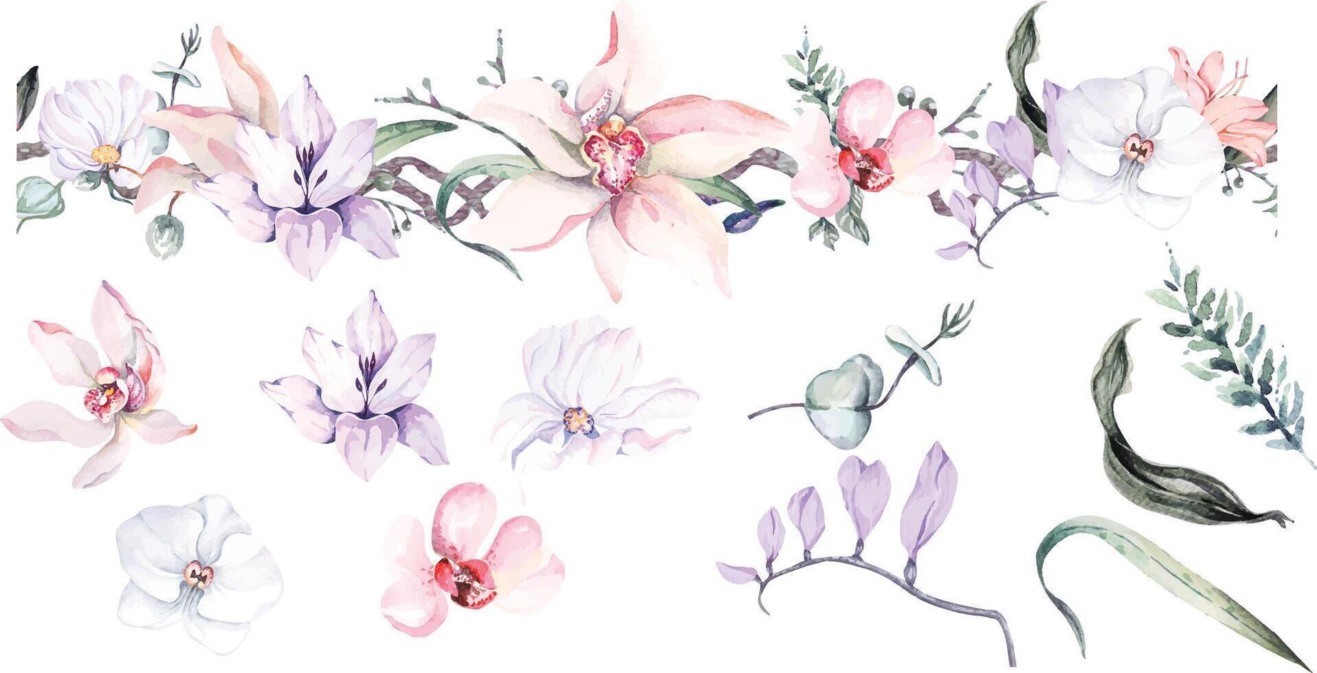 Various watercolor flowers and greenery vector