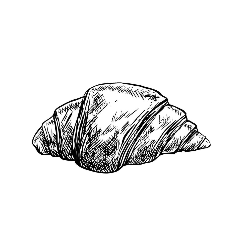 A croissant. graphic black and white hand-drawn illustration. Isolate on a white background. Flour pastry, a crescent-shaped bun made of puff pastry. For menu design, recipes, labels, packaging vector