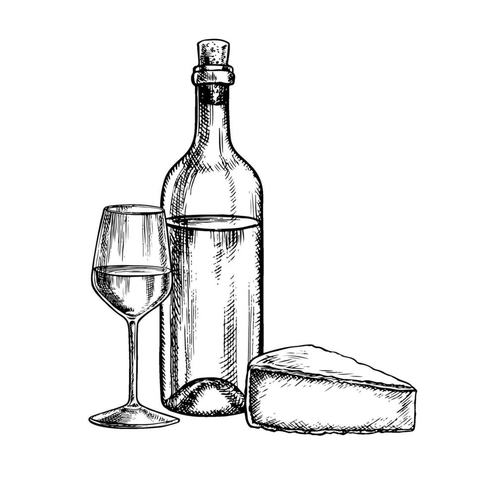 A bottle of white wine, a glass and French cheese. , hand-drawn graphic illustration. Isolate on a white background. For packages and labels. For banners and posters, restaurants, bars and more. vector