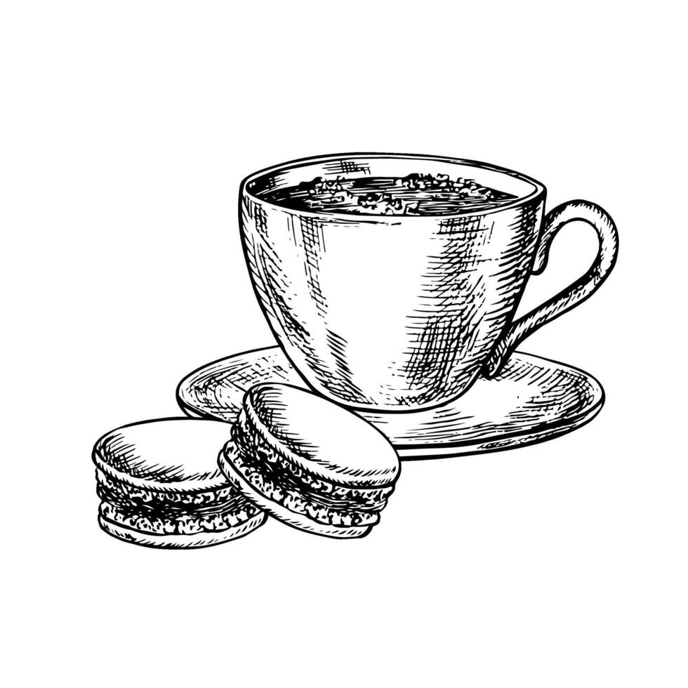 A cup of coffee and macaroons. black-and-white hand-drawn illustration. Isolate on a white background. French food. For packaging, logos and labels. For banners, flyers, menus, posters and more vector