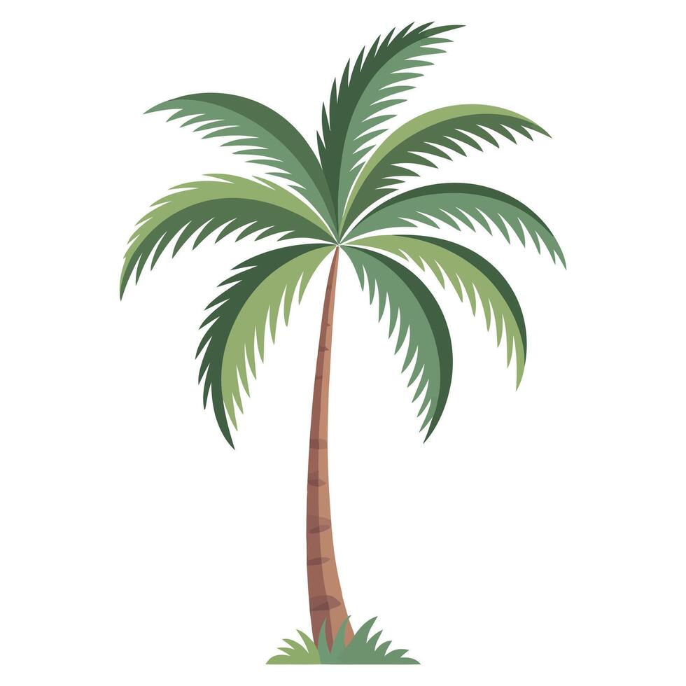 Detailed Palm Tree Illustration on White Background. vector
