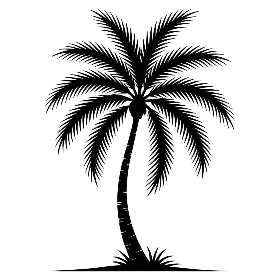 High-Detail Palm Tree Silhouette Drawing. vector