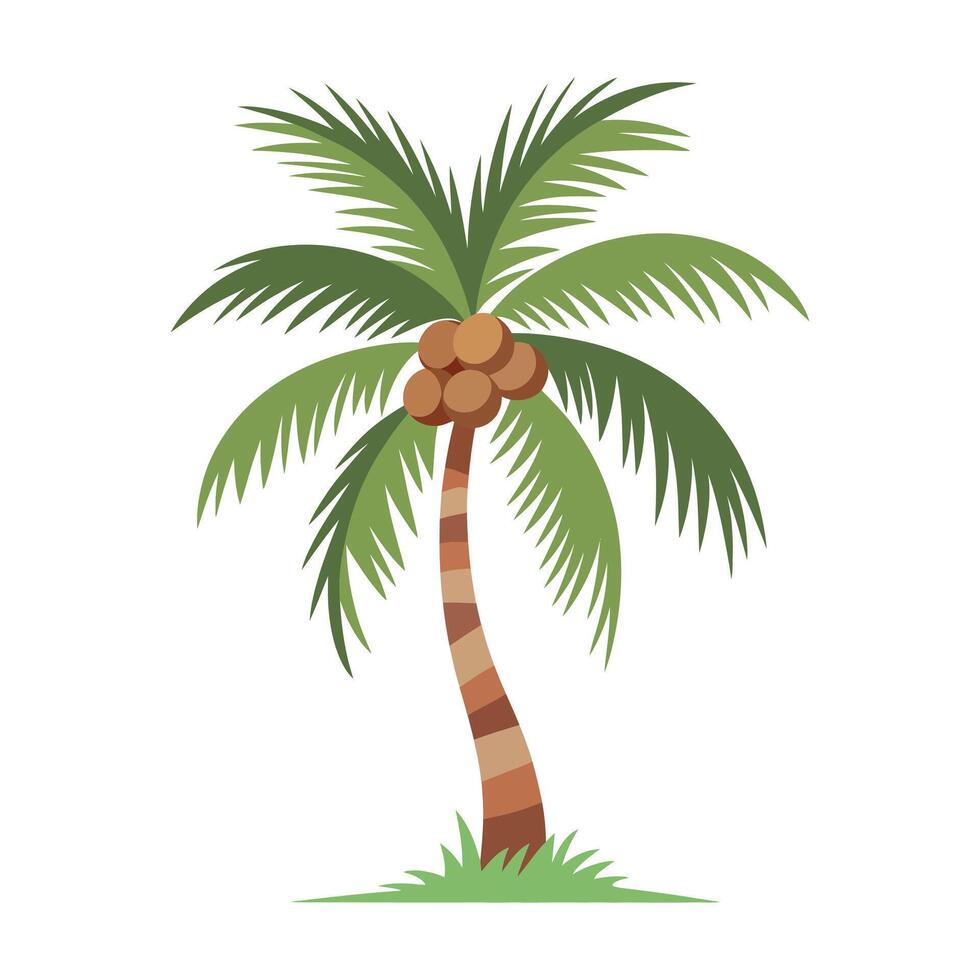 Flat Color Coconut Palm Tree Illustration. vector