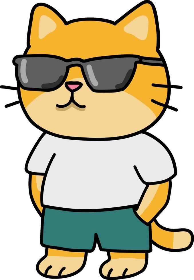 Hand drawn Cat and Career Doodle, Cool cartoon cat wearing sunglasses and casual summer outfit. vector