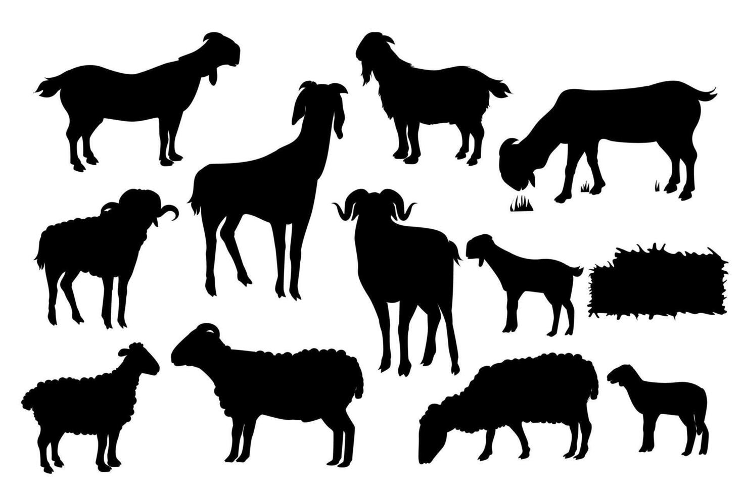 Goat and Sheep Silhouette. Black and white Illustration vector