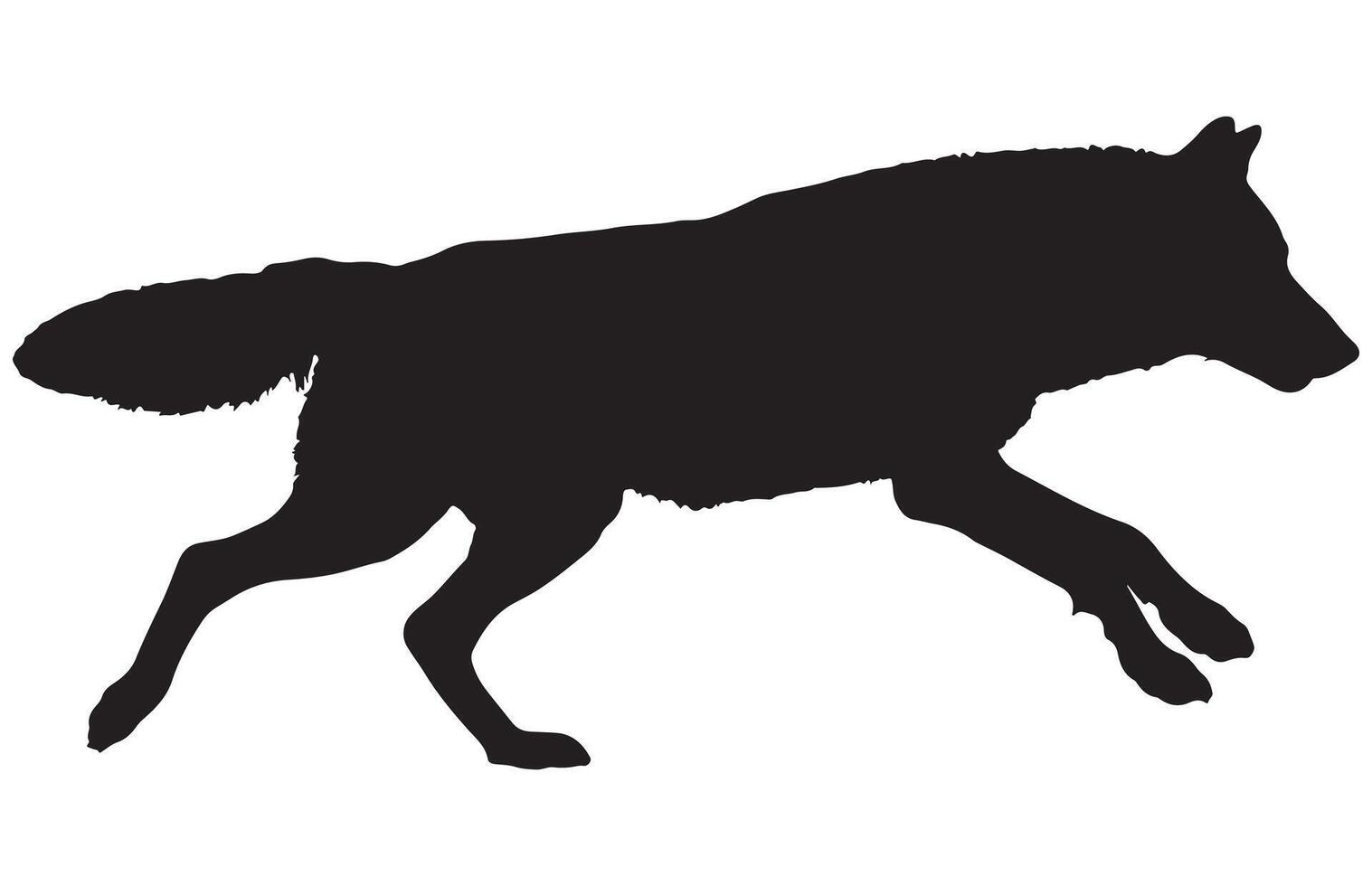 silhouette of a running wolf. vector
