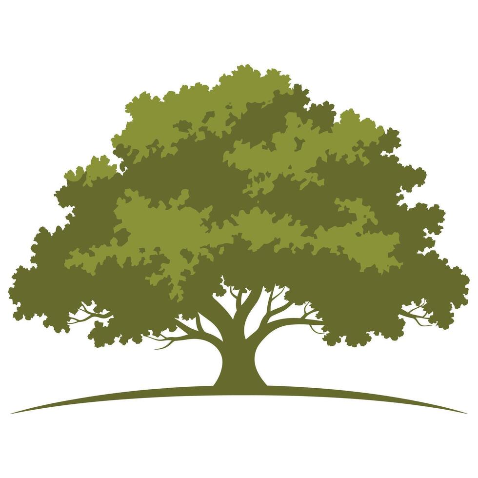 An oak tree with leaves on it vector