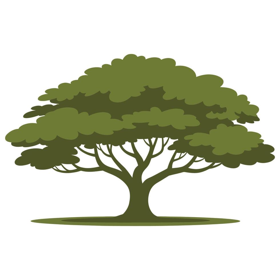 Flat Green Oak Tree Illustration on White Background. vector