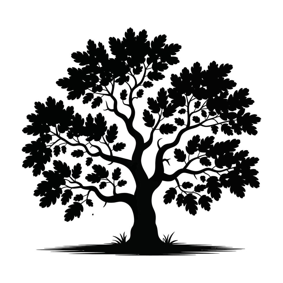 Detailed Oak Tree Silhouette on White Background. vector