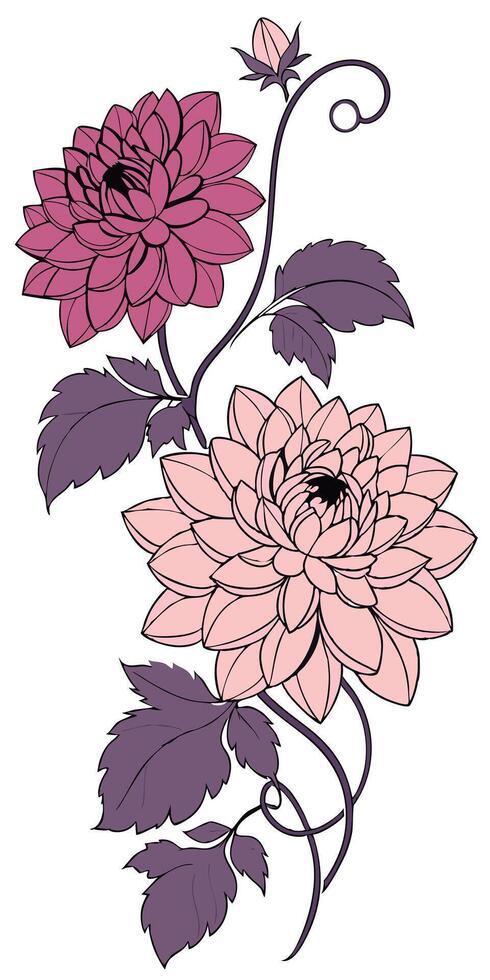 close-up the flowers of the Dahlia arranged beautifully, decorated with vines, suitable as an illustration background for a poster vector