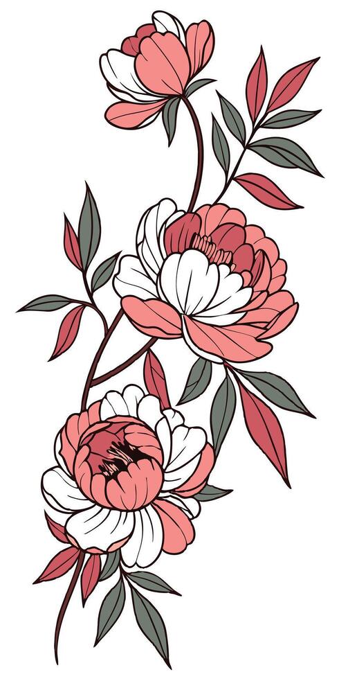 close-up the flowers of the Peony arranged beautifully and decorated with vines vector