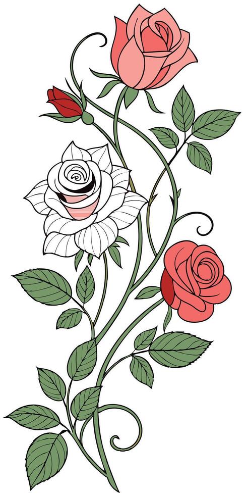 close-up the flowers of the rose arranged beautifully and decorated with vines vector
