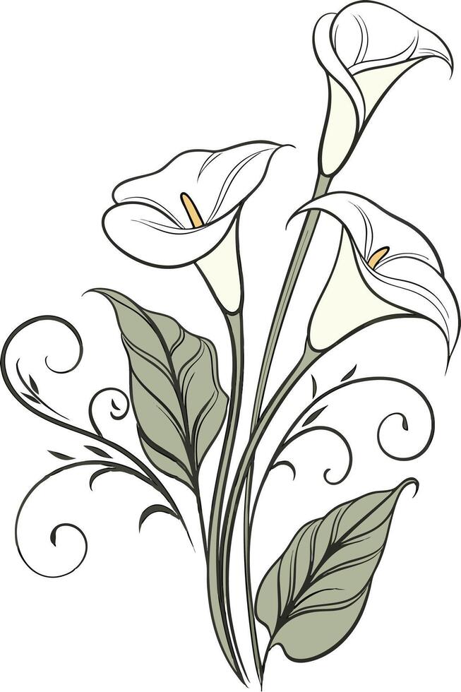 close-up the flowers of the Calla Lily flower arranged beautifully and decorated with vines vector