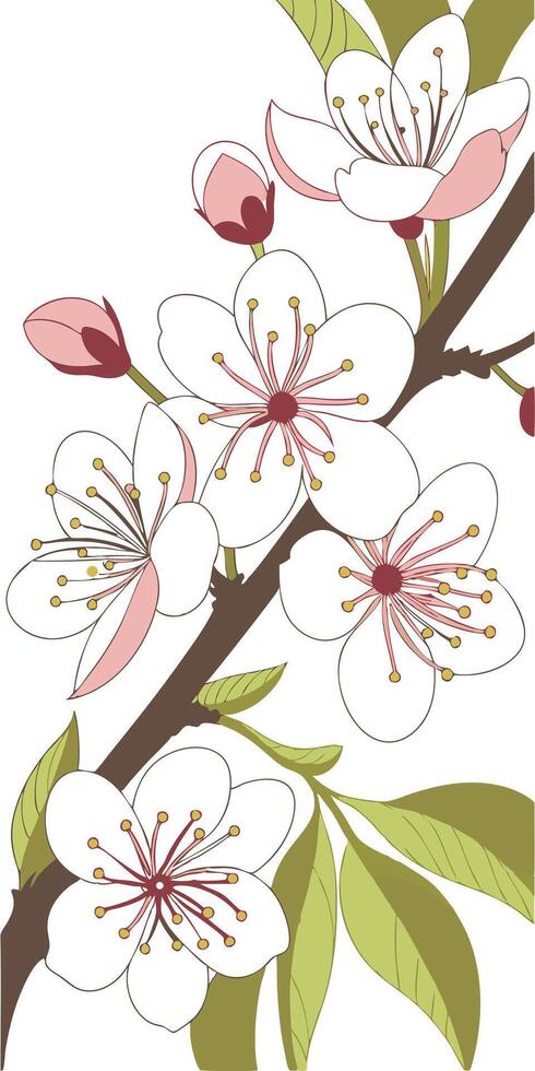 close-up the flowers of the Cherry Blossom arranged beautifully, decorated with vines, suitable as an illustration background for a poster vector