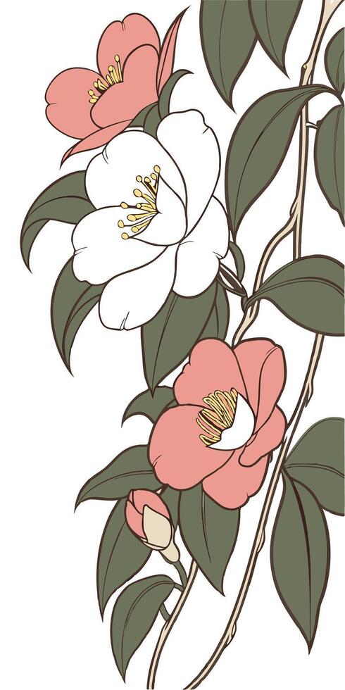 close-up the flowers of the Camellia arranged beautifully and decorated with vines vector