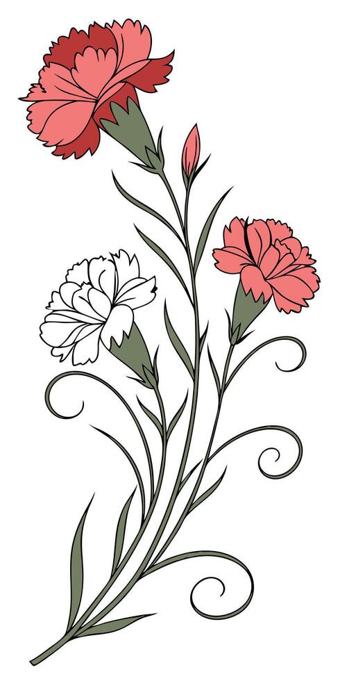 close-up the flowers of the Carnation arranged beautifully and decorated with vines vector