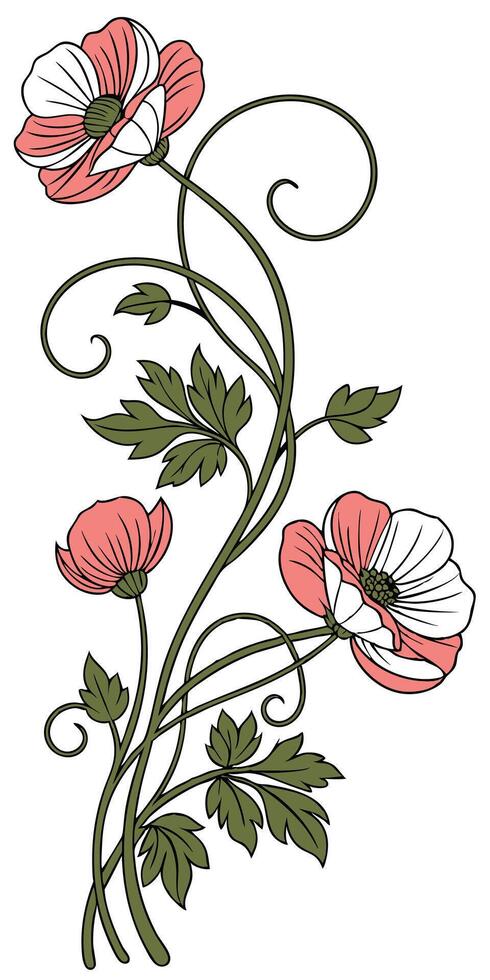 close-up the flowers of the Ranunculus arranged beautifully and decorated with vines vector