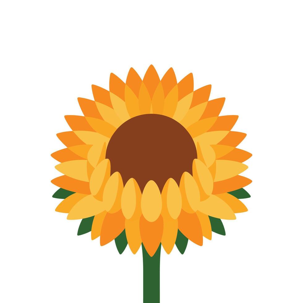 Flat Sunflower with Bold Petals. vector