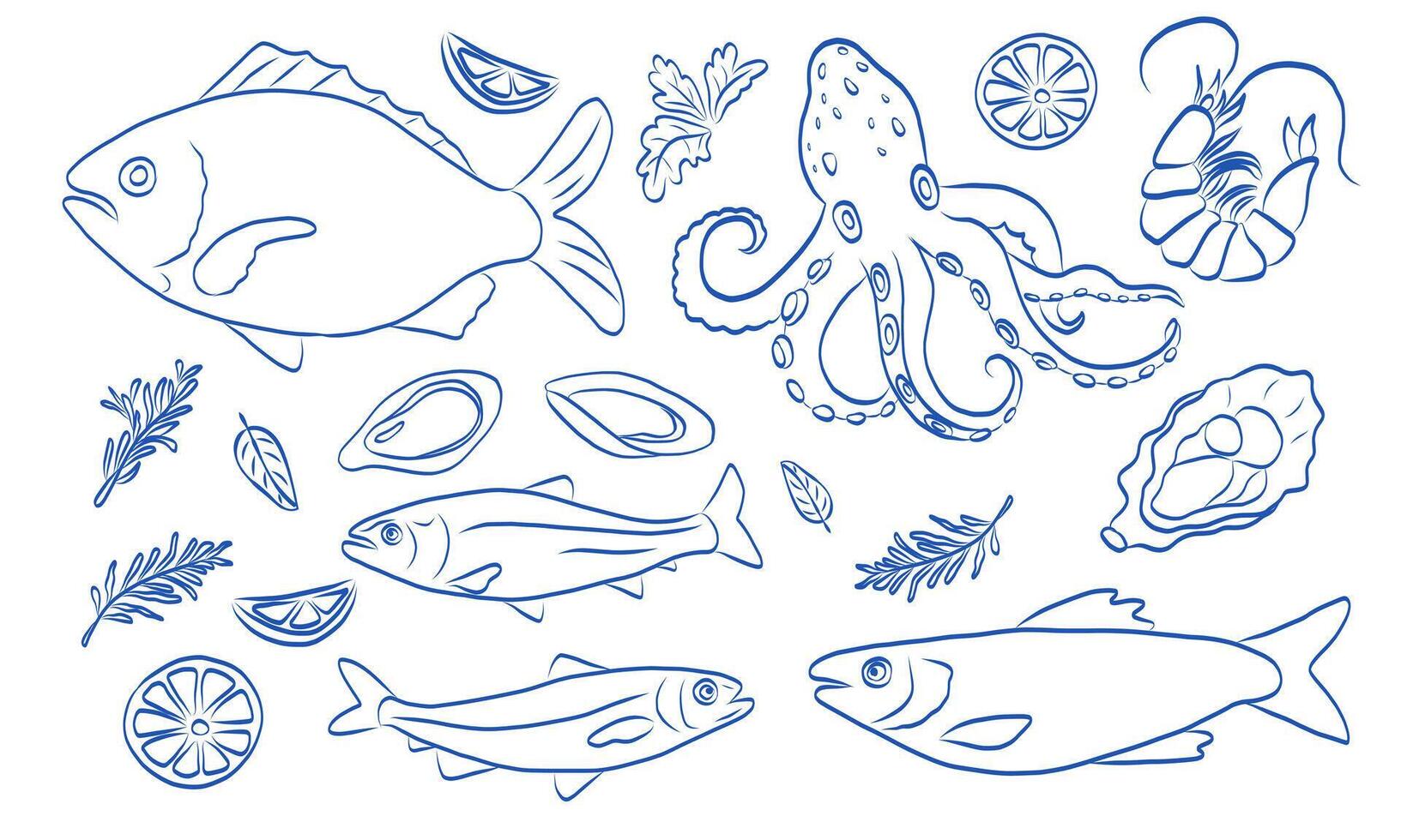 Illustration of fish, octopus, and shellfish with related elements vector