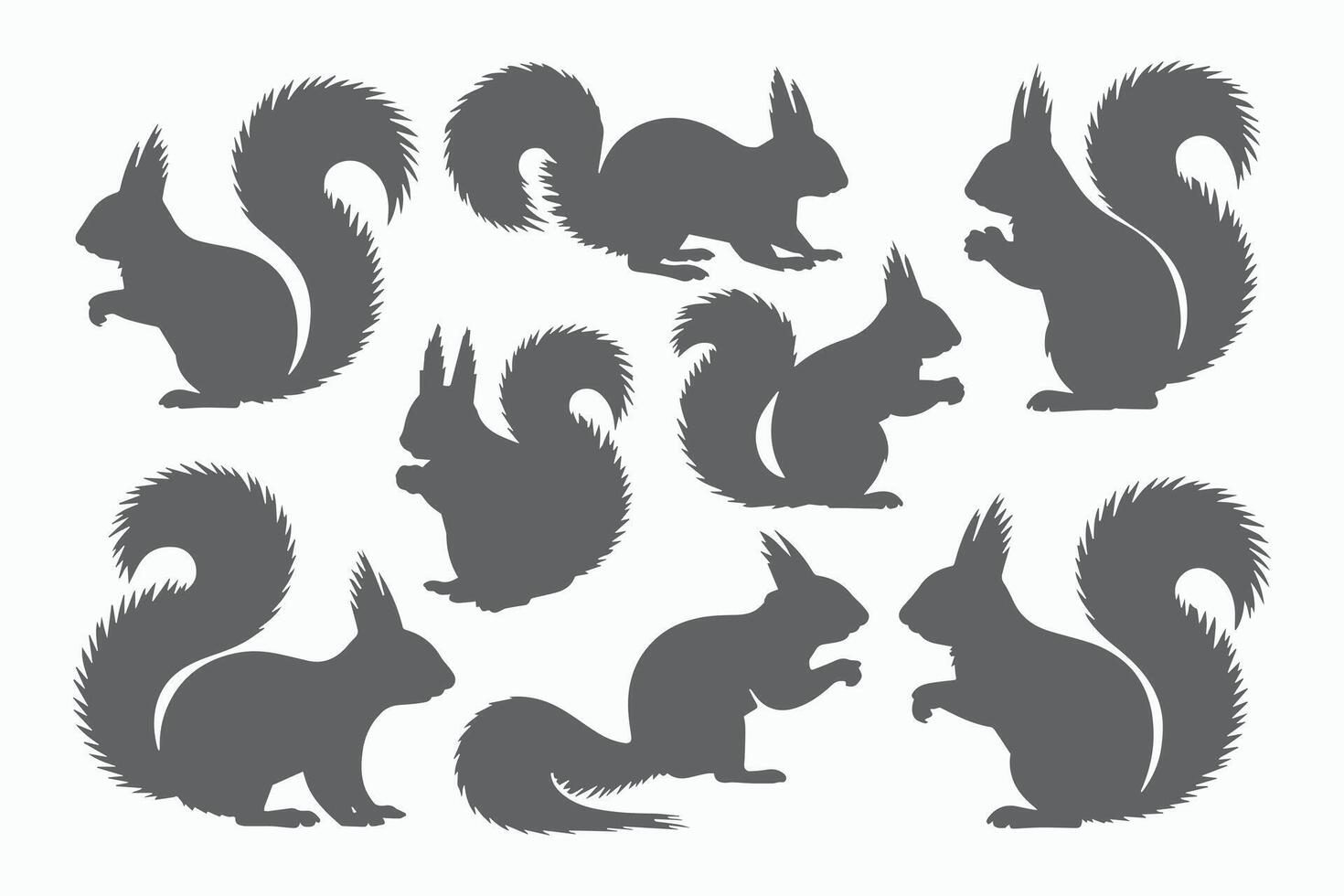 Collection of squirrel silhouettes in various poses vector