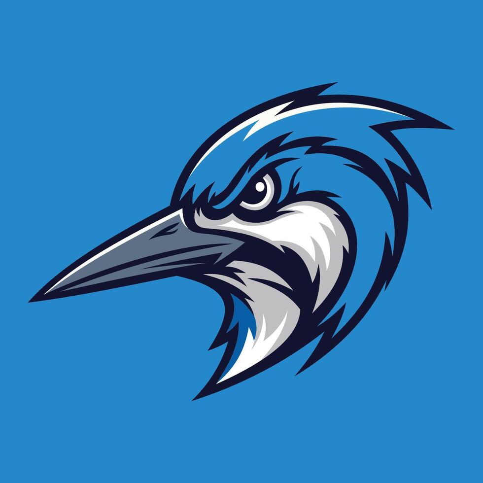 Stylized illustration of a woodpecker's head vector