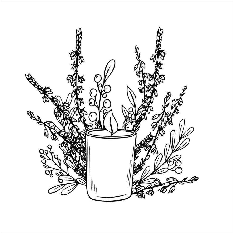 Burning candle in glass jar and heather, boxwood branches monochrome illustration. Etching drawing of holiday composition for festive design, wellness branding, nature packaging vector