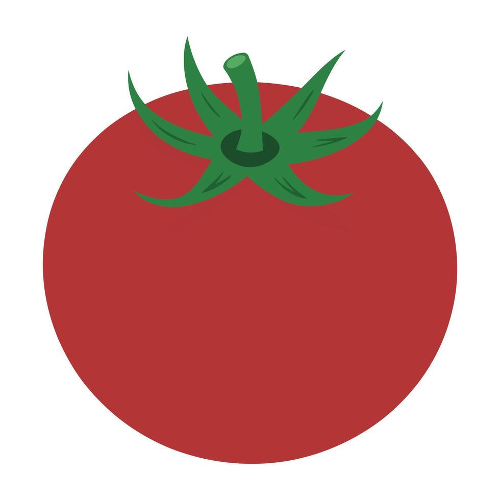 Flat Red Tomato Illustration on White Background. vector