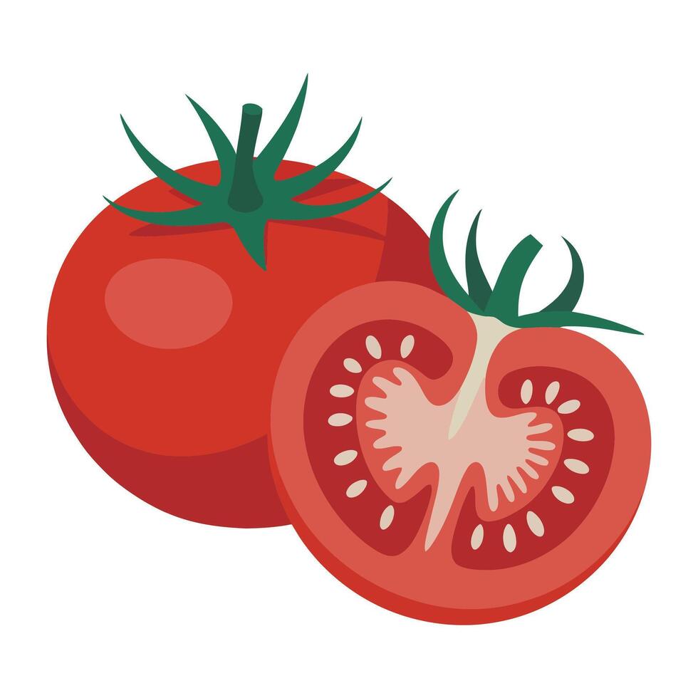 Flat Whole and Sliced Tomato Design. vector
