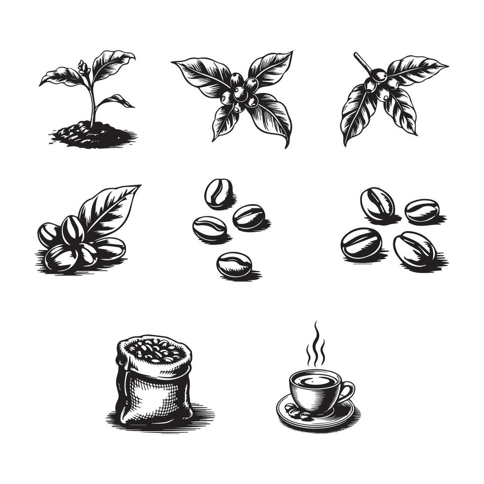 Coffee beans and leaves set of hand drawn icons vector