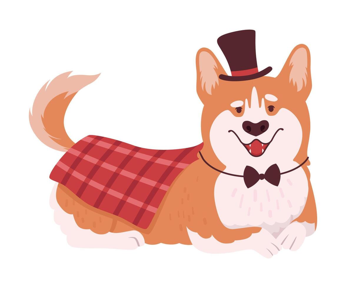 Welsh Corgi Wearing Top Hat in Lying Pose Illustration vector