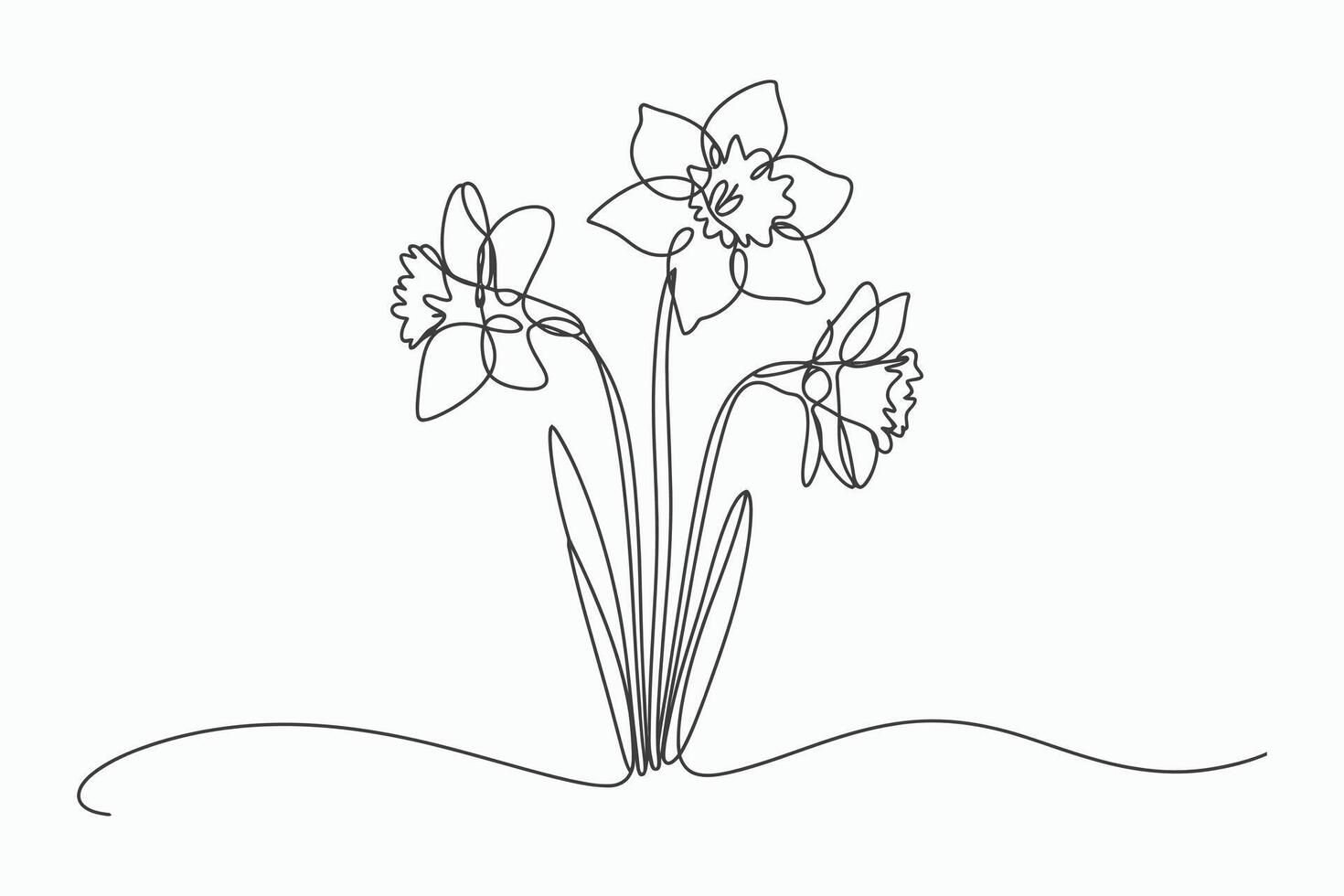 Three daffodils line art minimalist botanical illustration vector
