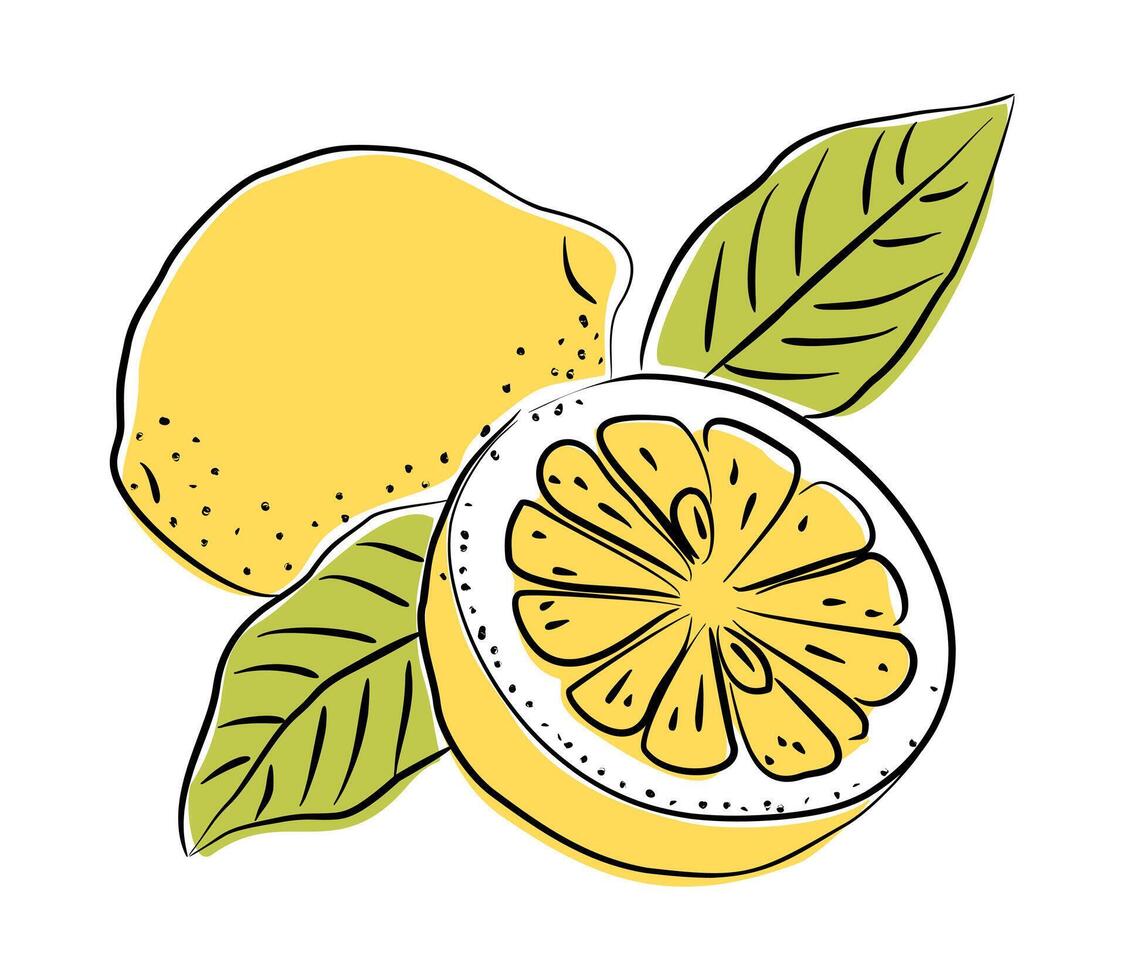 Yellow lemons, whole and halved, with green leaves vector