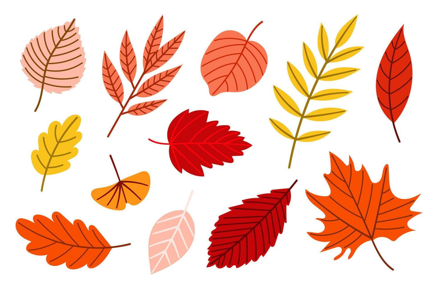 A Collection of Autumn Leaves Showcasing a Stunning Variety of Colors and Unique Shapes vector