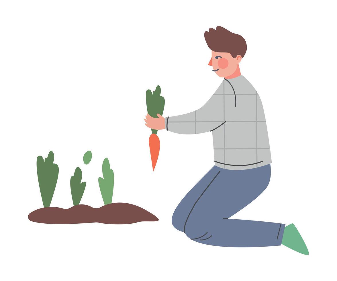 Man Farmer Gardener Harvesting Carrots, Male Agricultural Worker Character Working in Garden or Farm Cartoon Style Illustration vector