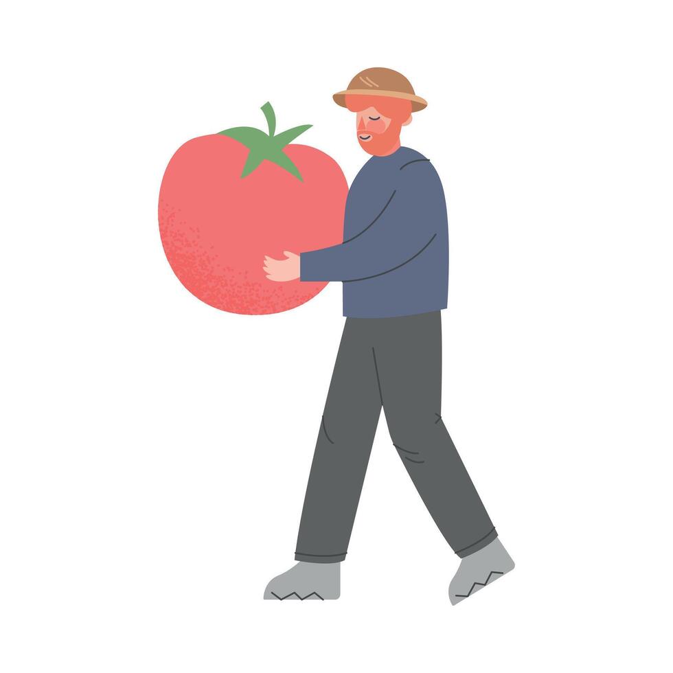 Man Farmer Carrying Huge Ripe Tomato, Male Agricultural Worker Gardener Character Working on Farm, Eco Farming Concept Cartoon Style Illustration vector