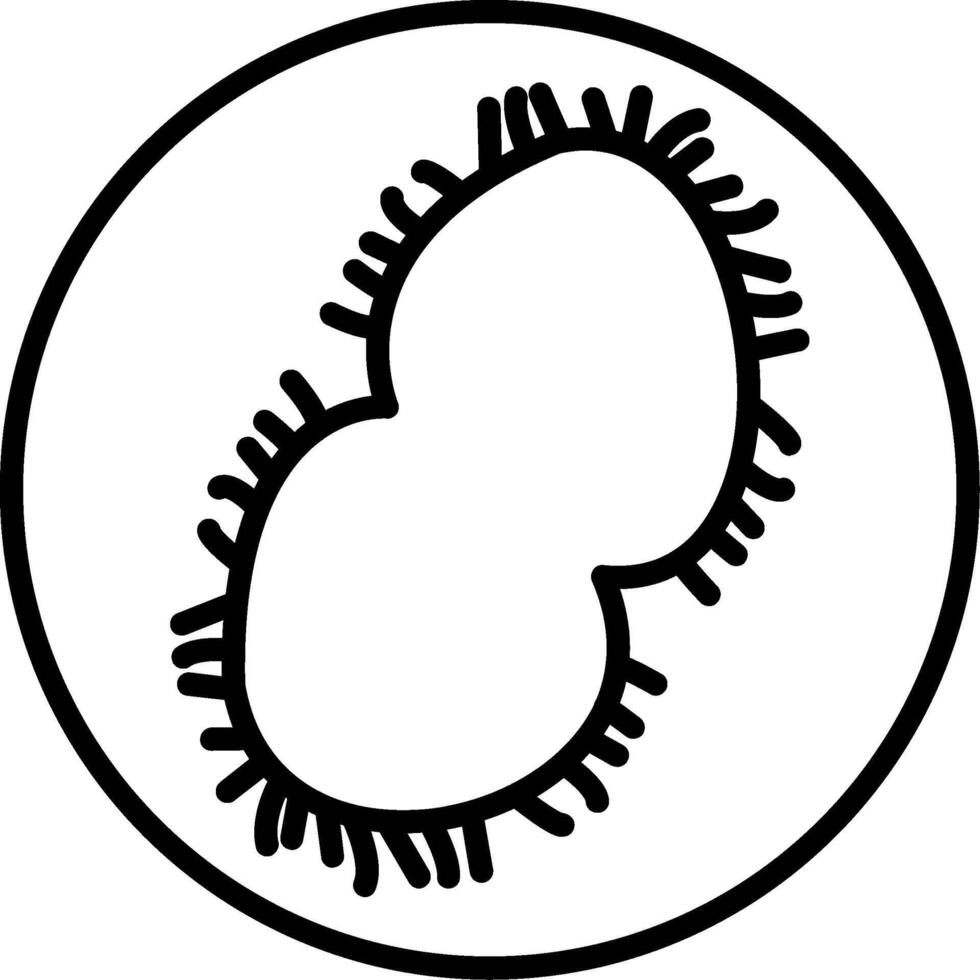 Neisseria meningitidis Meningitis Pathogen vector