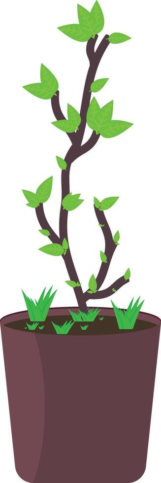 Illustration of a tree plant growing in a tob vector