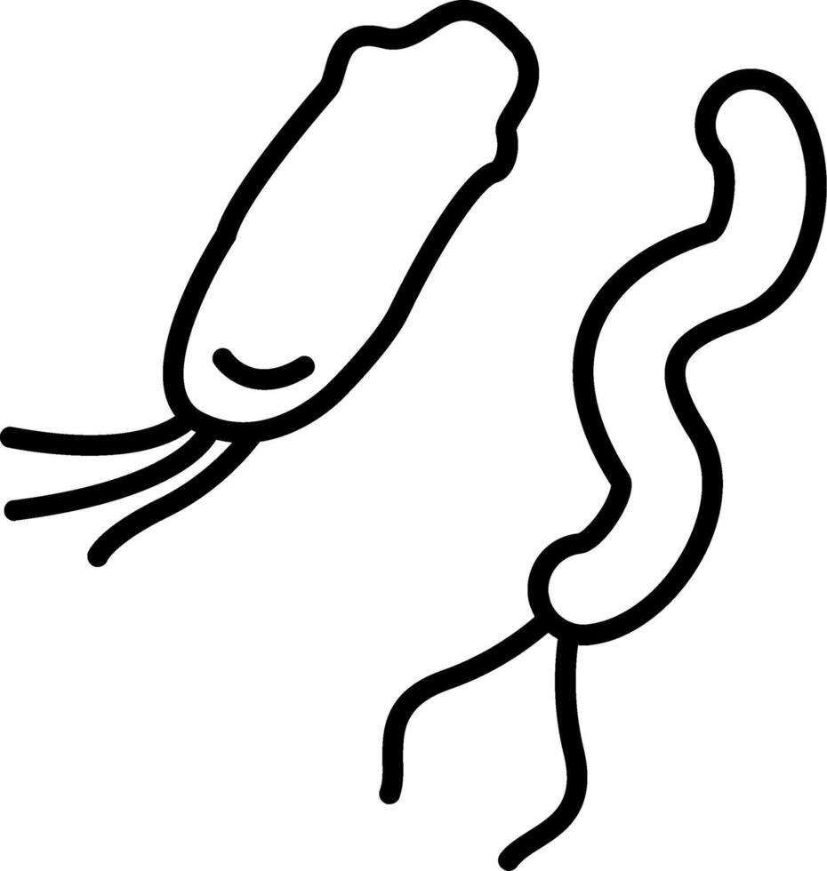Spirillum minus Rat-Bite Fever Bacteria vector
