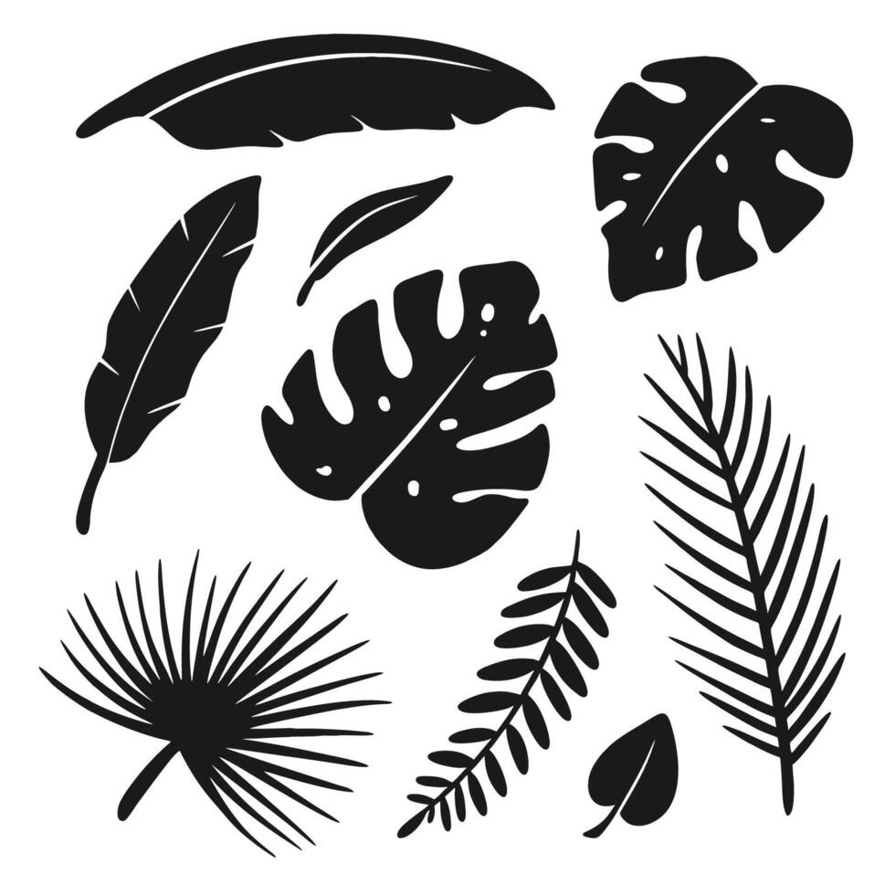 Collection of black and white leafy plants, including palm leaves, ferns, and palm fronds vector