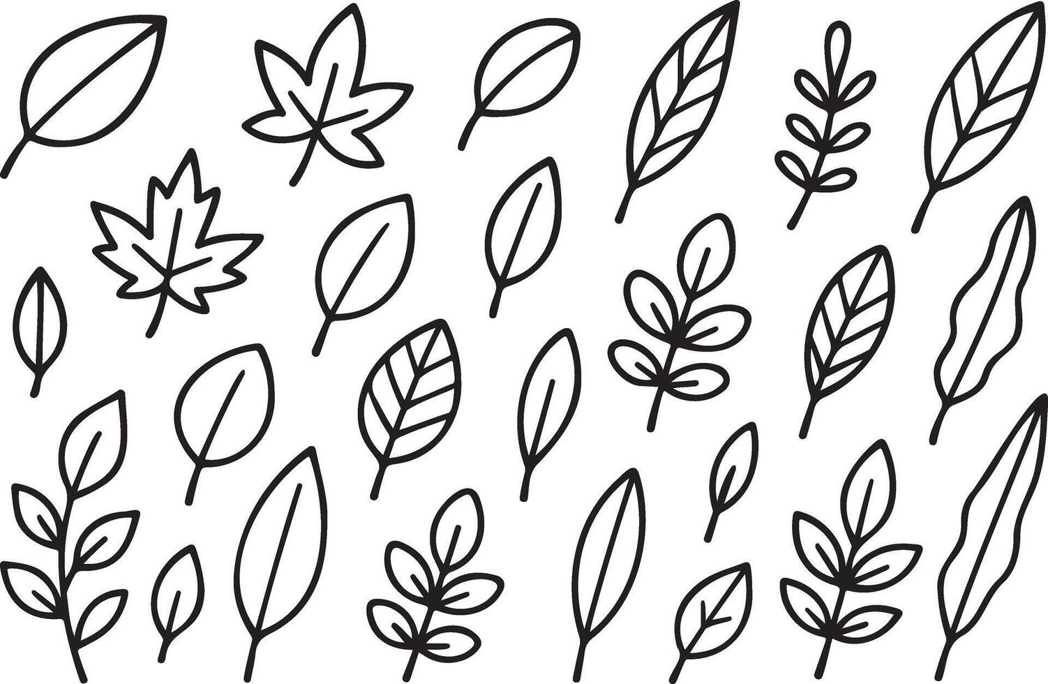 black and white leaf doodles set vector