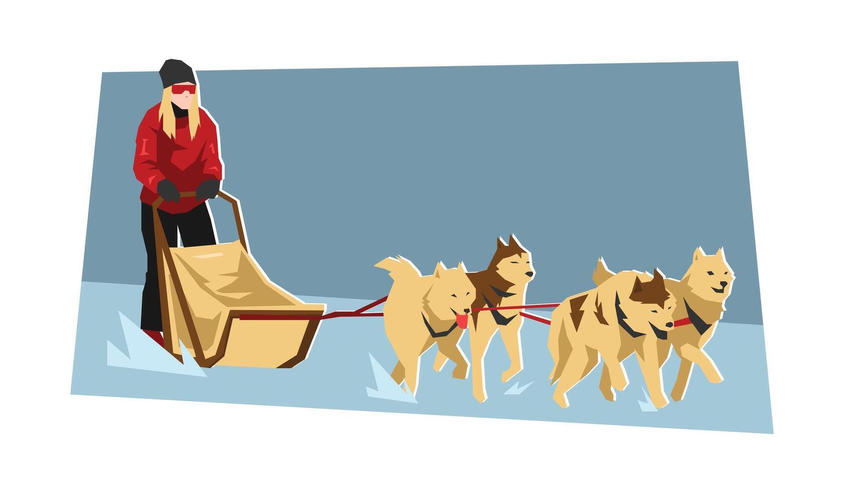 Dog sledding with team of dogs vector