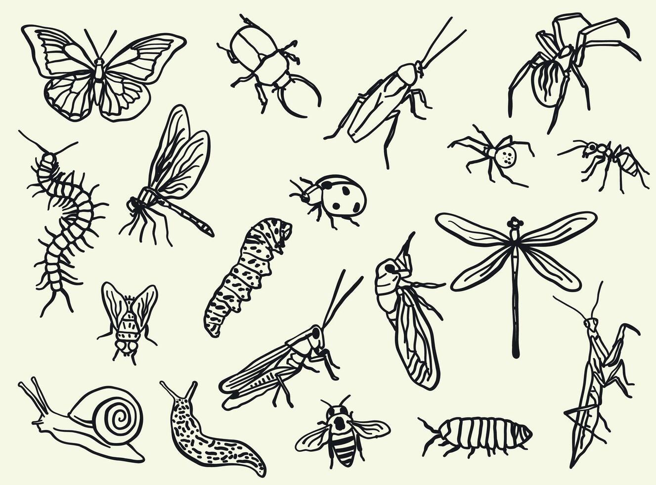A set of hand-drawn insect illustrations in doodle or line art style. It includes various species, including butterflies, bees, beetles, and dragonflies. vector