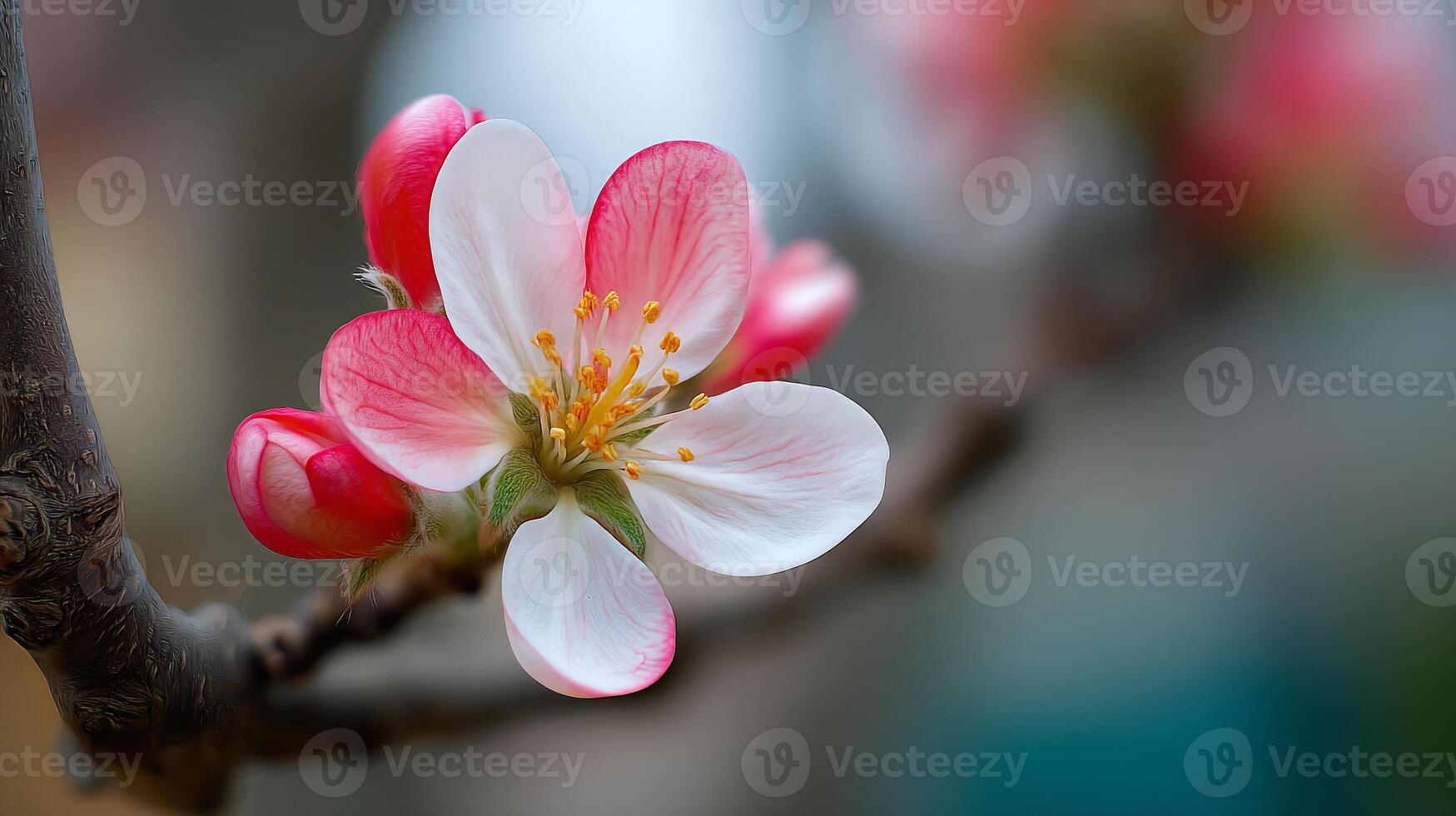 Bright flower in bloom with crisp edges and clarity full of nature beauty photo