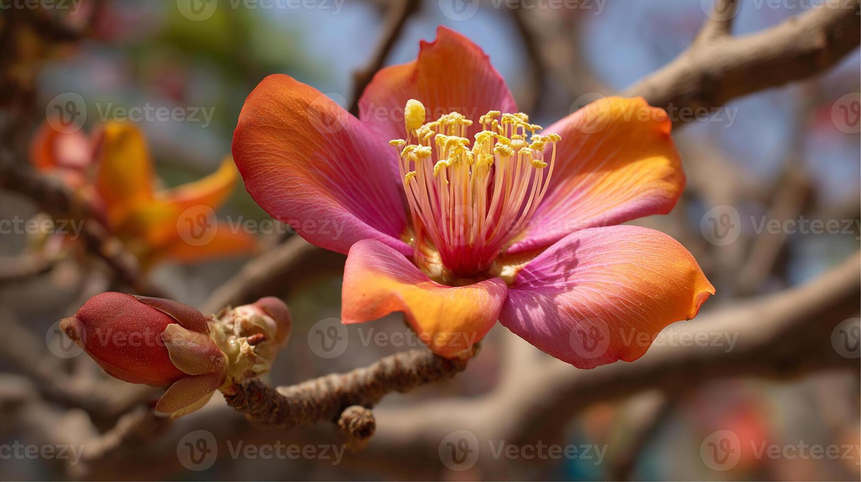 Bright spring flower with sharp textures and blurred greens radiating nature beauty photo